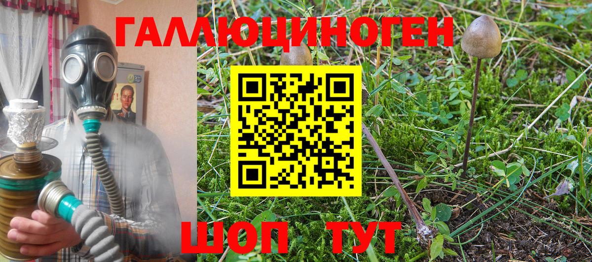 Галлюциногенные грибы Cubensis Димитровград