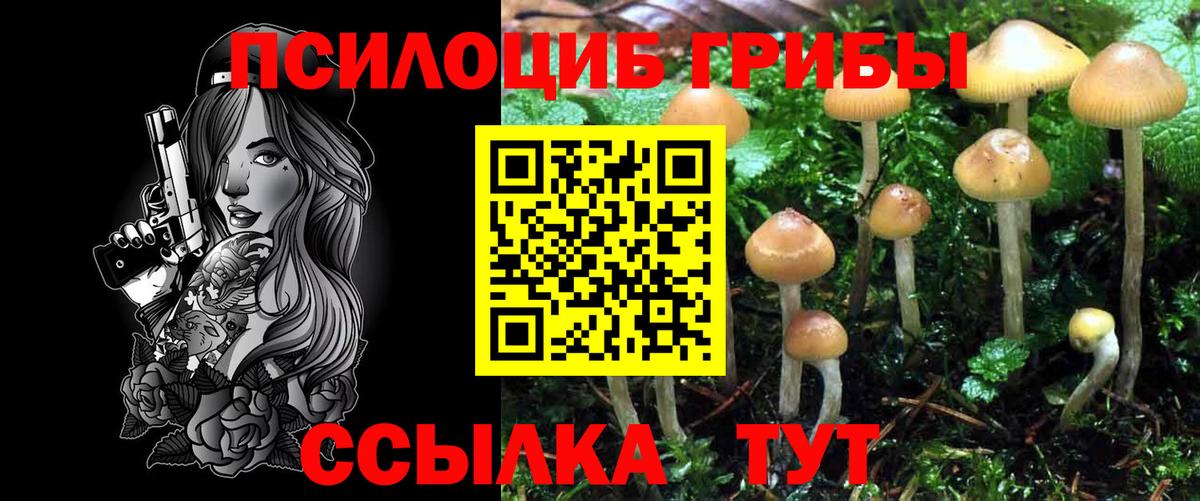Галлюциногенные грибы мицелий  Вход с VPN  Псилоцибиновые грибы MAGIC MUSHROOMS  Димитровград 